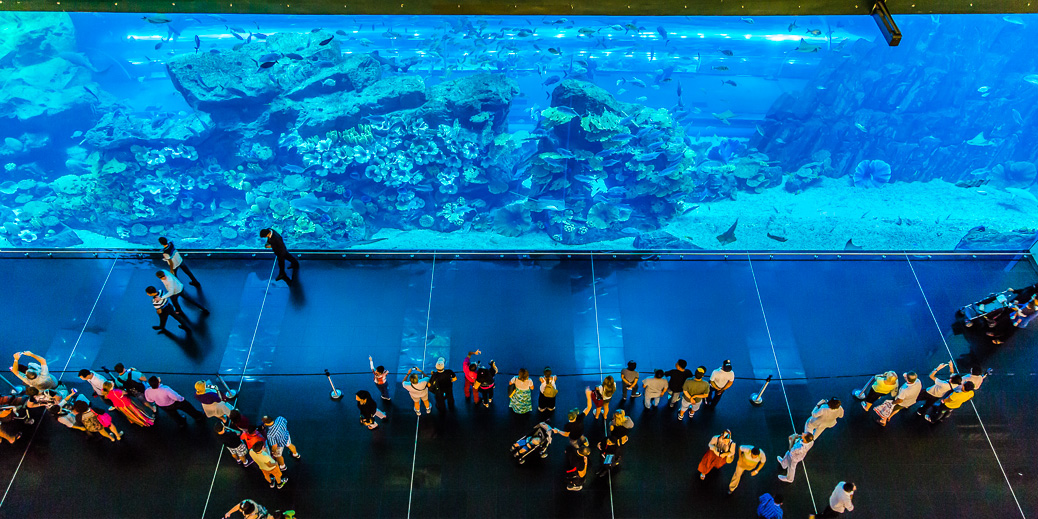 Das riesige Aquarium der Dubai Mall Das riesige Aquarium der Dubai Mall © S-F / Shutterstock.com
